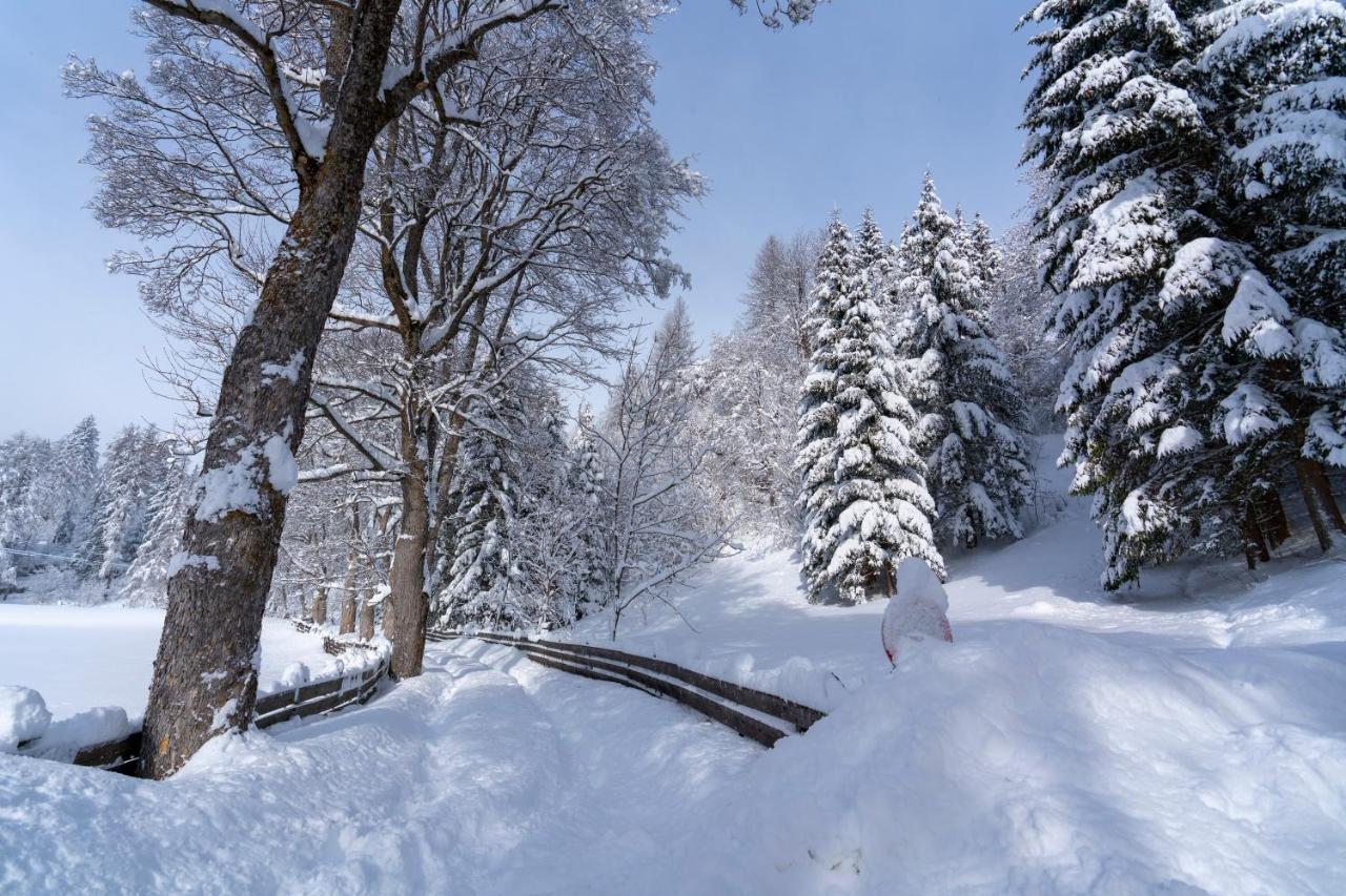 Chalet Traumblick マウテルンドルフ エクステリア 写真